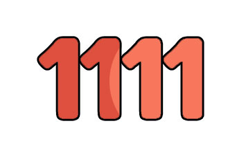 1111 1111